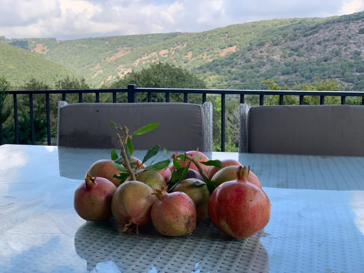 Habait Ba Shomera Dış mekan fotoğraf